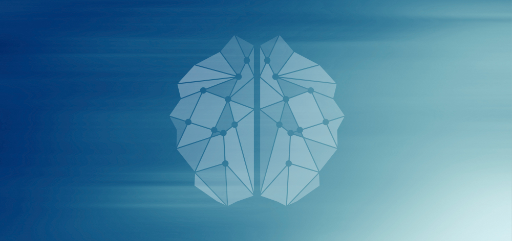 How Does Enlight™ Work?