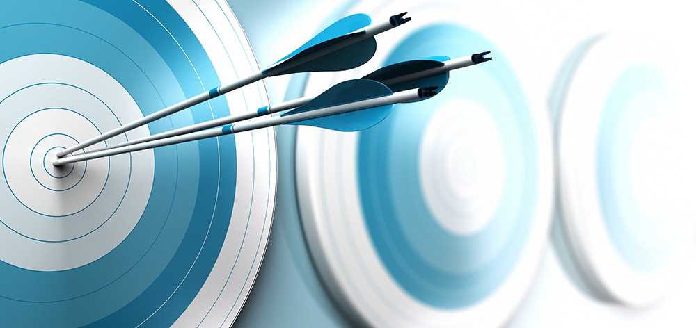Shoot for the Bulls Eye
